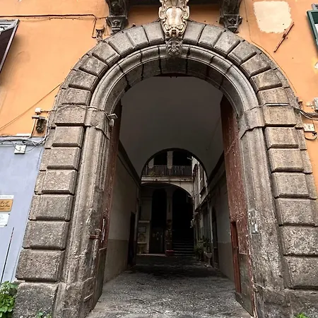 Le Dame Napoli